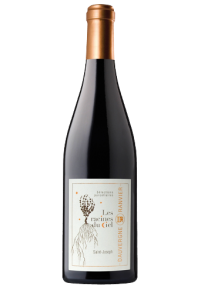 AOC SAINT-JOSEPH-DAUVERGNE RANVIER-RACINES DU CIEL-ROUGE-2020-75CL***