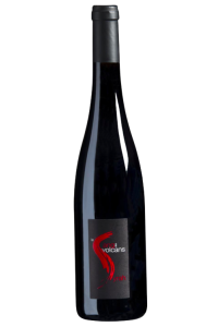 IGP PUY DE DOME-BENOIT MONTEL-SYRAH SANG DES VOLCANS-ROUGE-2020-75CL***