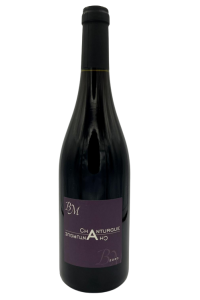 COTES D'AUVERGNE CHANTURGUE-BENOIT MONTEL-ROUGE-2022-75CL