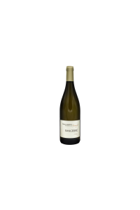 SANCERRE-DOMAINE MARTIN-CHAVIGNOL-BLANC-2022-75CL***