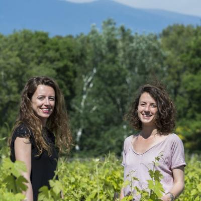 DOMAINE AYMARD