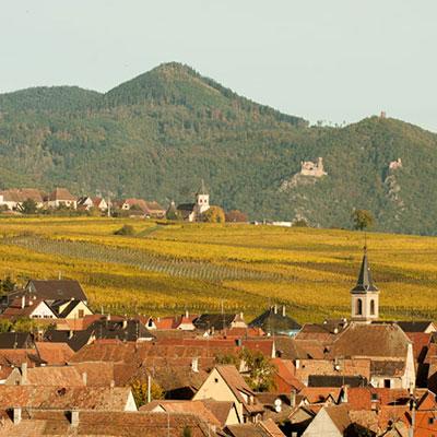 Le vignoble d'Alsace