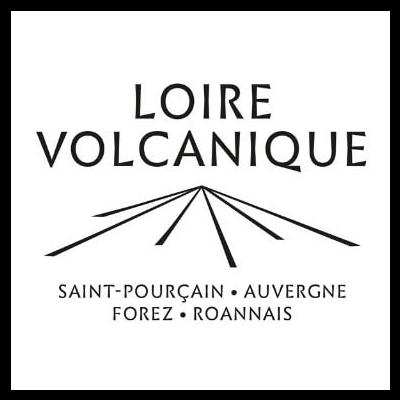 Loire Volcanique : nouveau séisme dans la viticulture française 