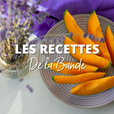 Recettes autour du Melon