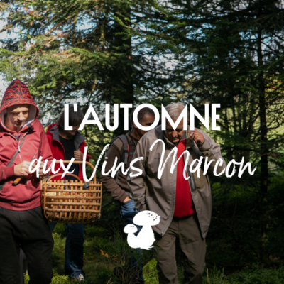 Animations de l'Automne 2023