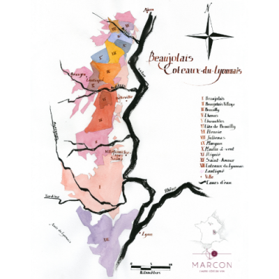 Zoom sur le Beaujolais Coteaux du Lyonnais