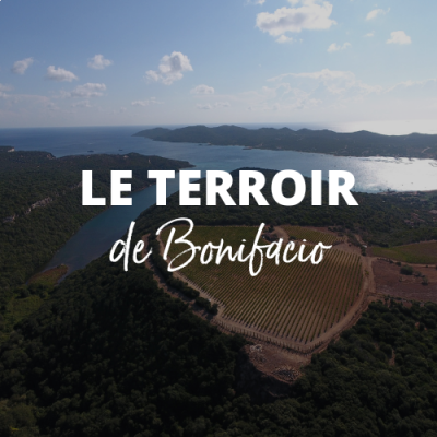Zoom sur le terroir de Bonifacio