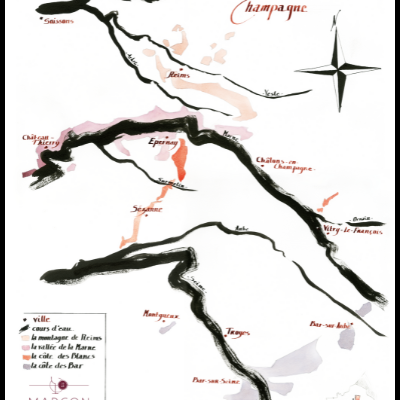 Terroir à la Loupe : Les Champagnes Jacquesson et Pertois-Moriset