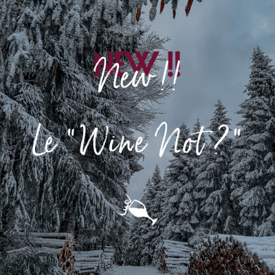 "Wine Not ?", en apprendre plus sur le vin ! 