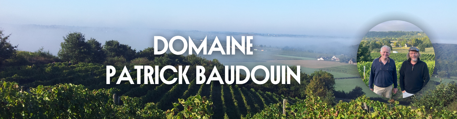 Domaine Patrick Baudouin - Anjou 