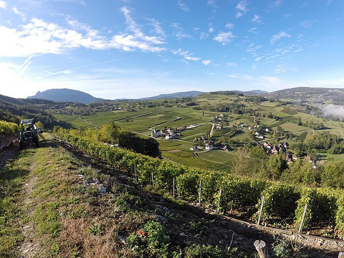 vignoble de Savoie Cave du Prieuré, famille Barlet