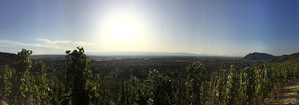 Vue panoramique depuis Cornas