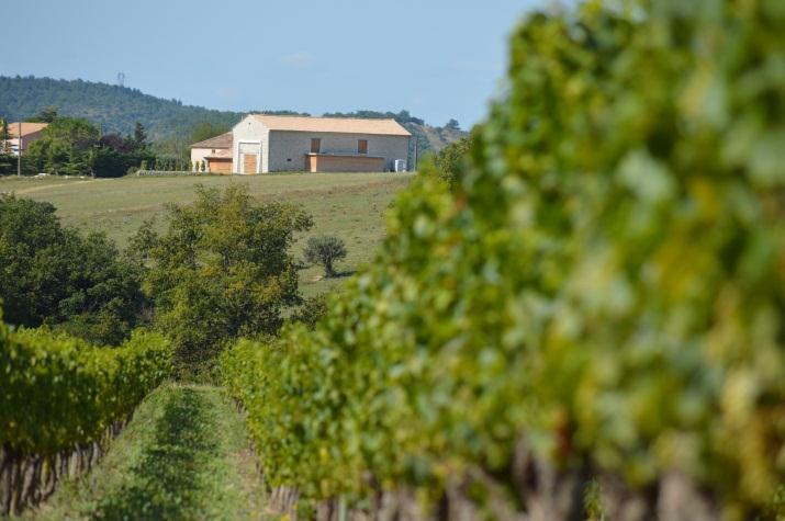 Domaine Arsac Vins bio d'Ardèche