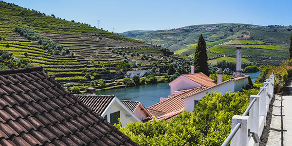 Quinta de la Rosa les coteaux Vallée du Douro