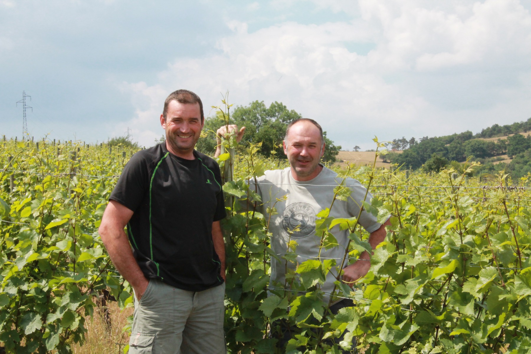 Vignerons Chozieux